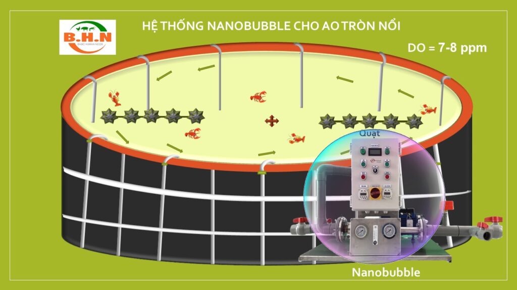 Nanobuble
