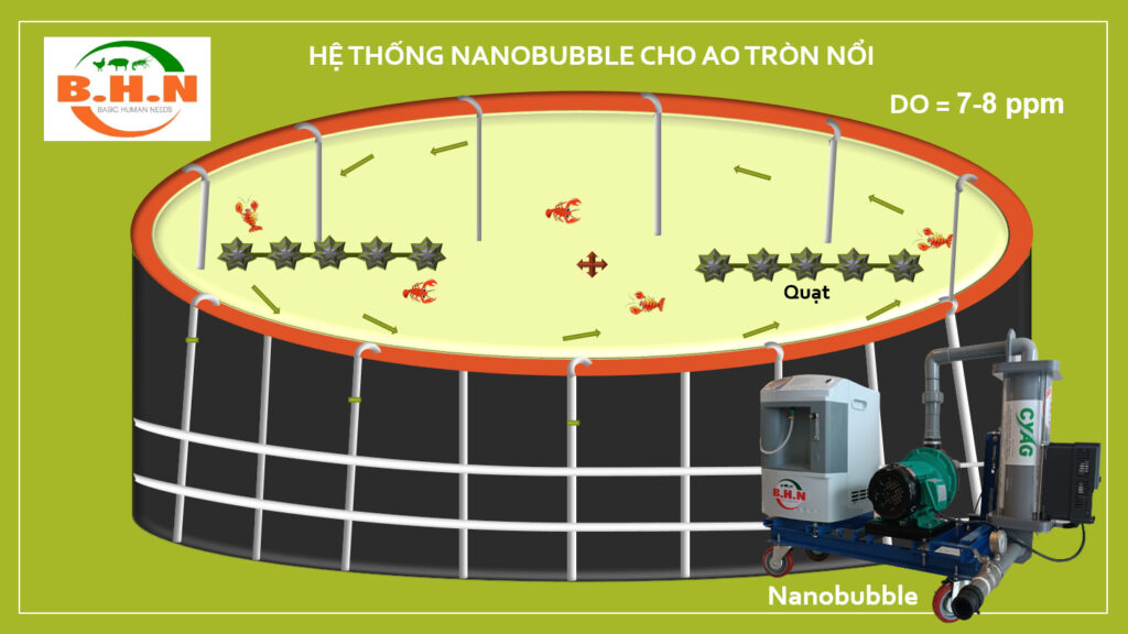 Nanobubble