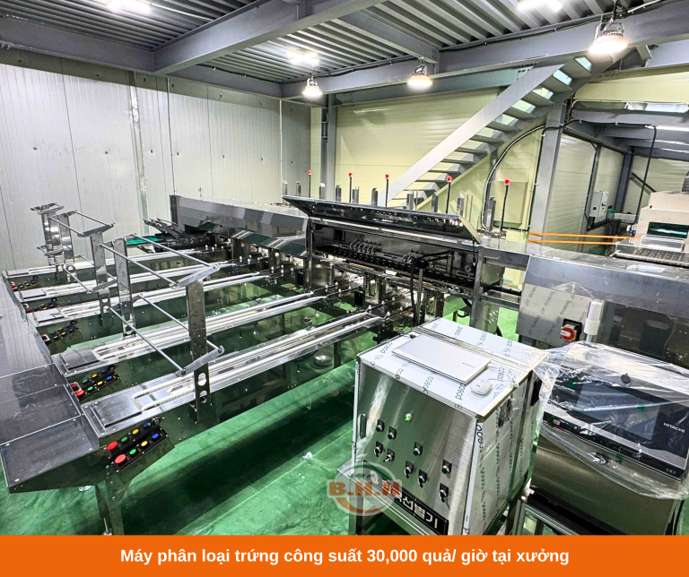 máy phân loại trứng công suất 30, 000 trứng/ giờ