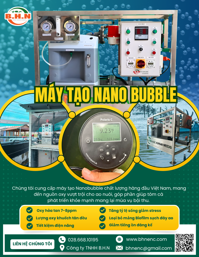 Công nghệ Nanobubble – Giải pháp đột phá nâng cao hiệu quả nuôi trồng thủy sản bền vững