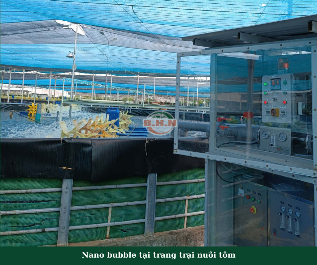 trang trại tôm sử dụng cấp khí oxy công nghệ Nanobubble