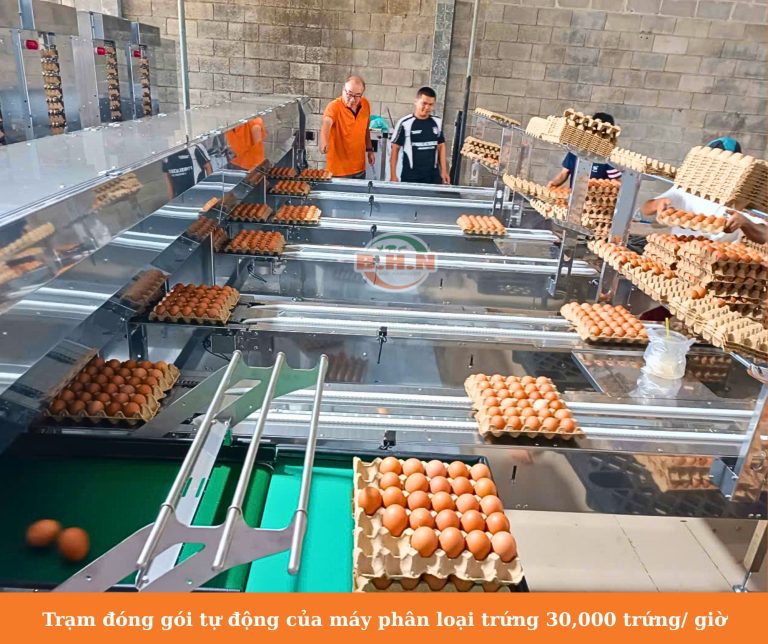 Máy phân loại trứng
