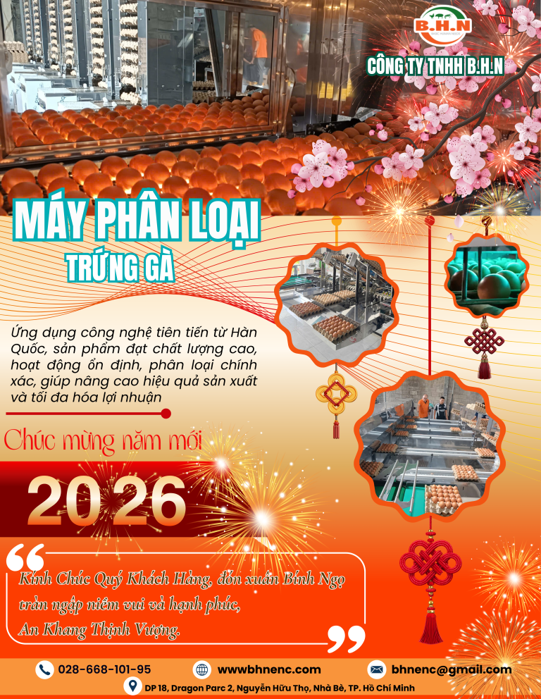 Máy phân loại trứng nhập khẩu từ Hàn Quốc đã cập bến đầu xuân 2026