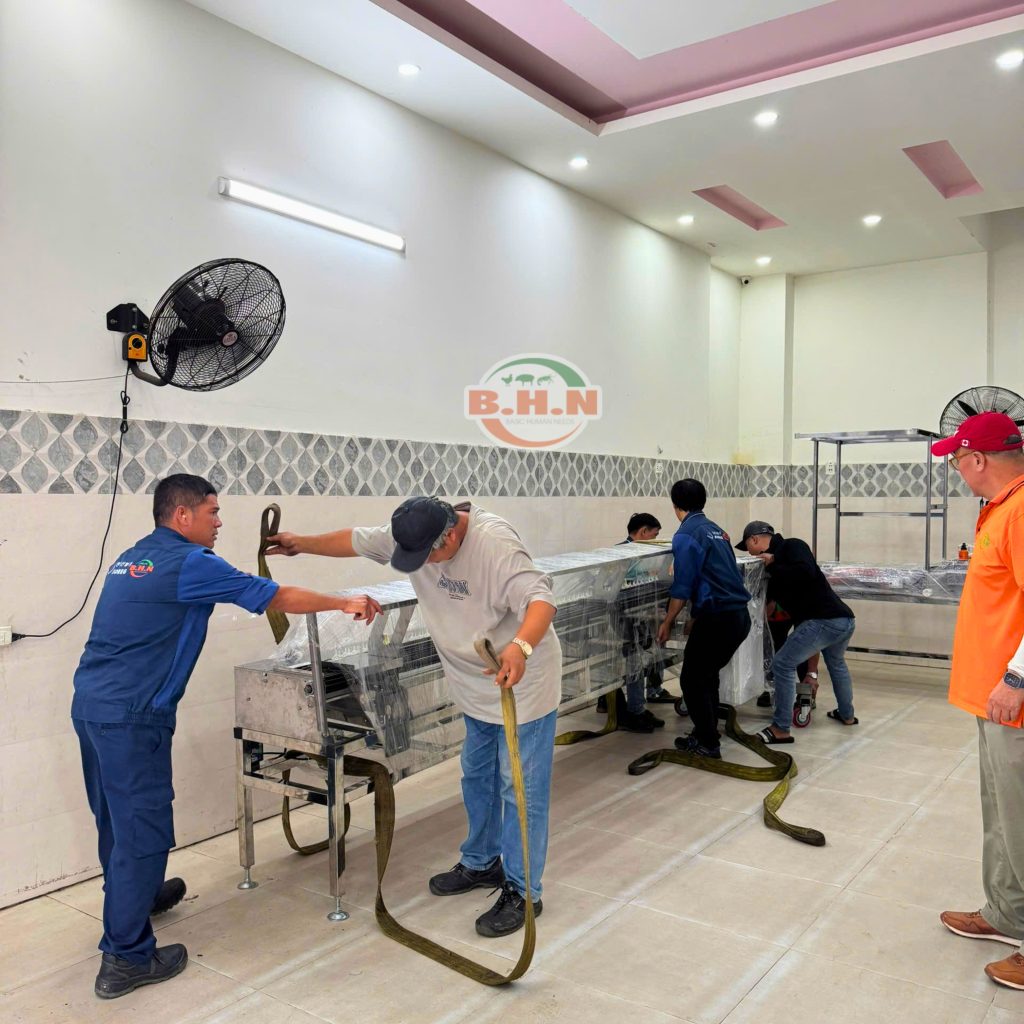 máy phân loại trứng