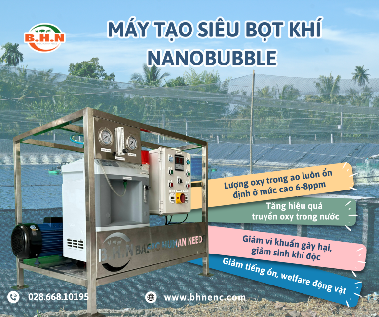 Vì Sao Quản Lý Môi Trường Đáy Ao Quan Trọng Trong Nuôi Tôm? Giải Pháp Quản Lý Oxy Hiệu Quả Với B.H.N Nanobubble Technology