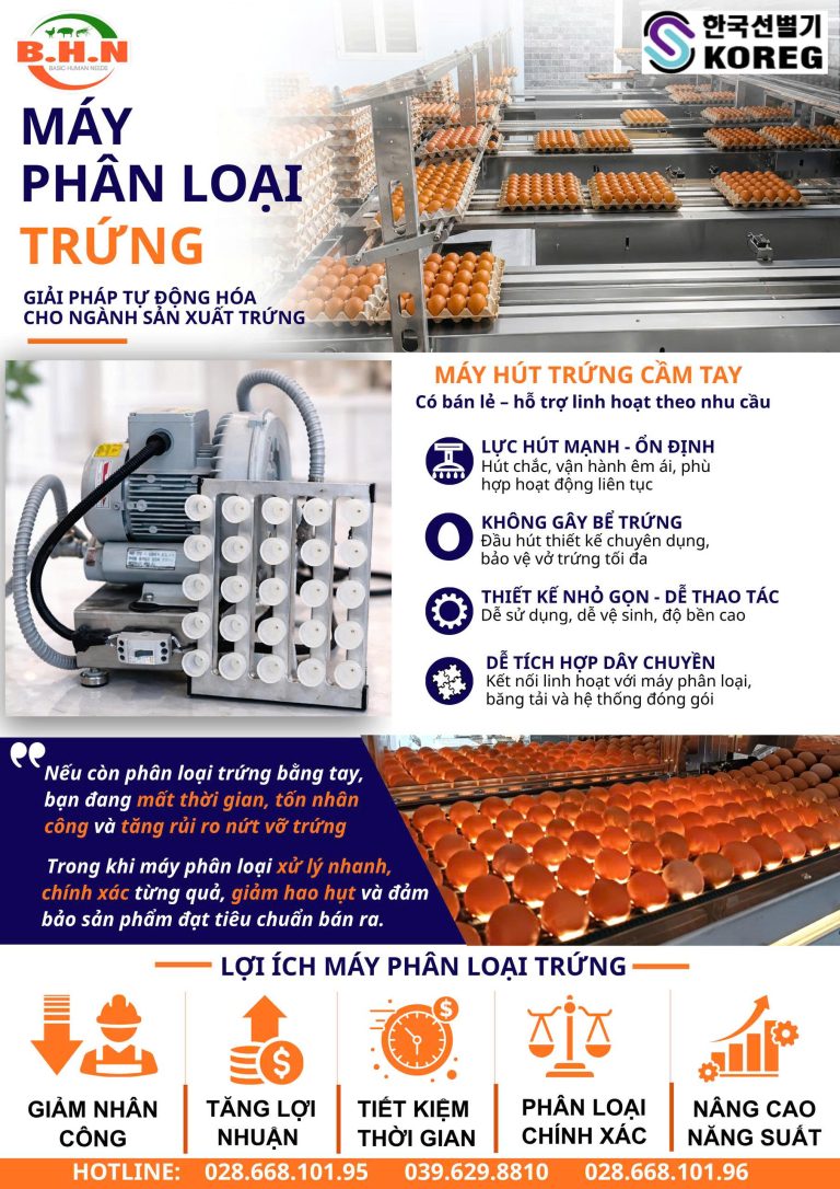 Tại sao doanh nghiệp nên chuyển từ phân loại trứng thủ công sang tự động?