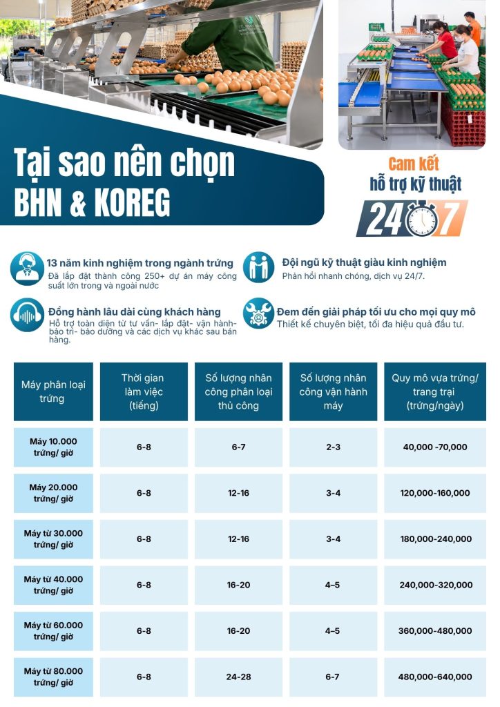 Máy phân loại trứng 10.000 trứng/giờ giúp xử lý nhanh sản lượng lớn, phù hợp cho trang trại gà đẻ và vựa thu mua trứng quy mô từ 40.000 trứng/ngày.