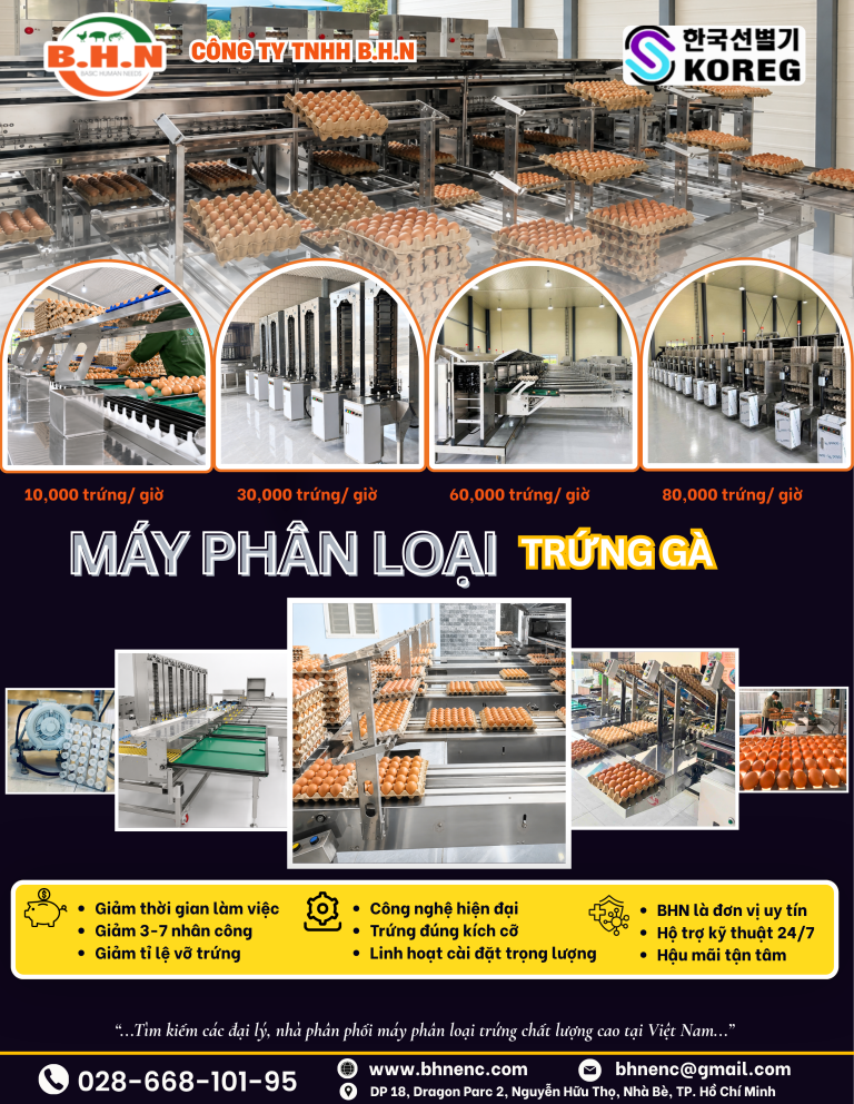 B.H.N TIẾP TỤC LẮP ĐẶT THÀNH CÔNG MÁY PHÂN LOẠI TRỨNG 10.000 TRỨNG/GIỜ TẠI TIỀN GIANG
