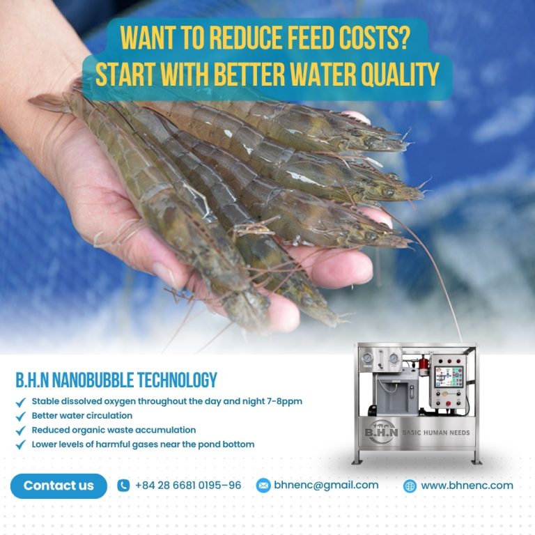 Can Better Water Quality Improve Feed Conversion Ratio (FCR) in Shrimp Farming?