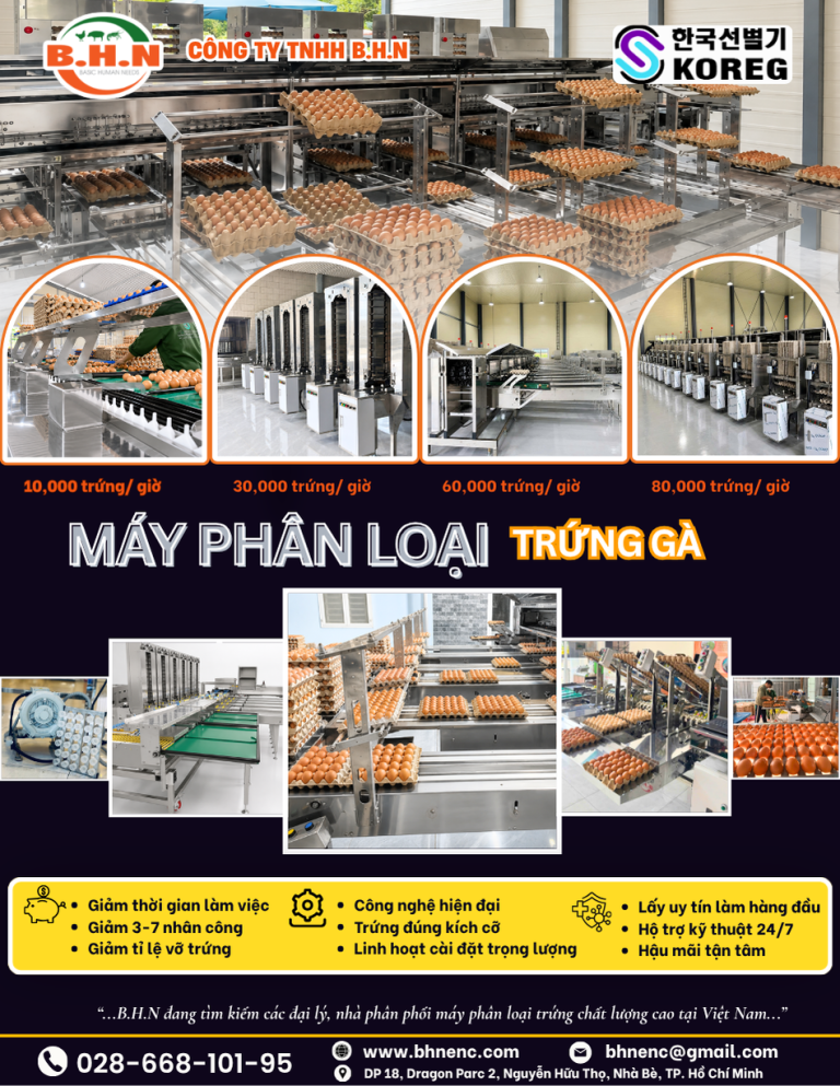 B.H.N TIẾP TỤC LẮP ĐẶT THÀNH CÔNG MÁY PHÂN LOẠI TRỨNG 10.000 TRỨNG/GIỜ TẠI TIỀN GIANG