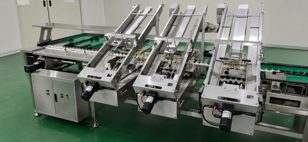máy phân loại trứng gà tự động