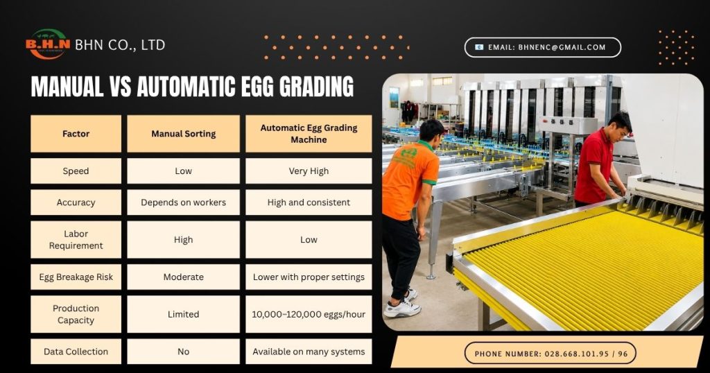 Manual vs Automatic Egg Grading