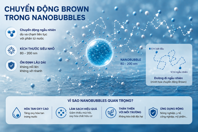 Chuyển Động Brown Là Gì? Vì Sao NanoBubbles Có Thể Tồn Tại Lâu Trong Nước?