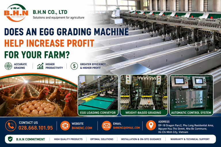 Does an Egg Grading Machine Help Increase Farm Profits?