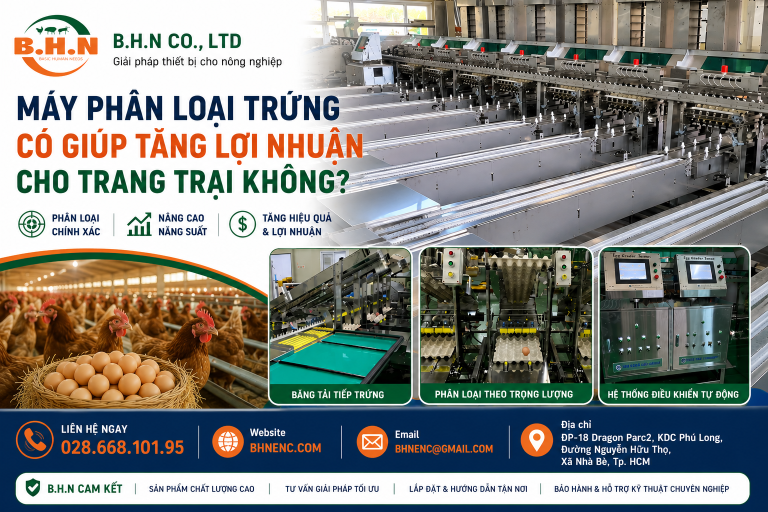 Máy phân loại trứng có giúp tăng lợi nhuận cho trang trại không?