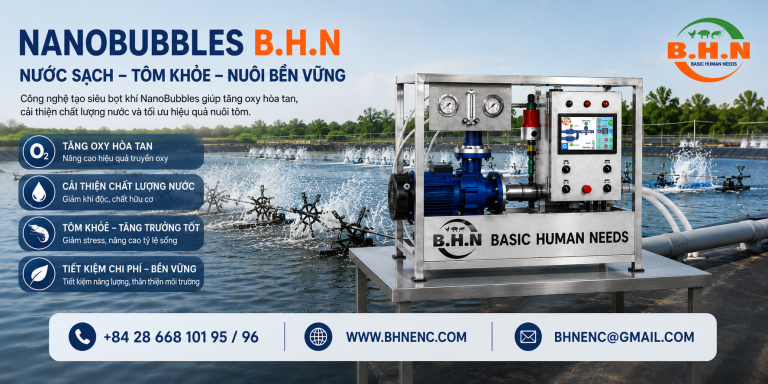 NanoBubbles Trong Nuôi Tôm: Nước Sạch, Tôm Khỏe, Nuôi Bền Vững