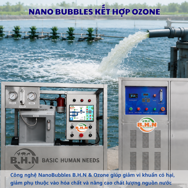 NanoBubbles Cải Thiện Chất Lượng Nước Ao