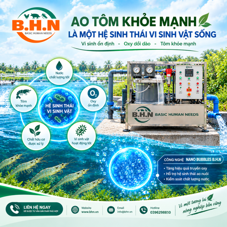 Ao Tôm Khỏe Mạnh: Vai Trò Của Vi Sinh Và Oxy