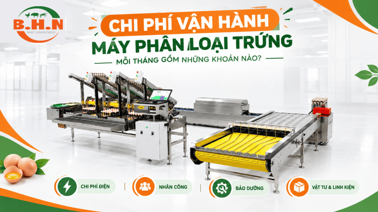 Chi Phí Vận Hành Máy Phân Loại Trứng Mỗi Tháng Bao Nhiêu?