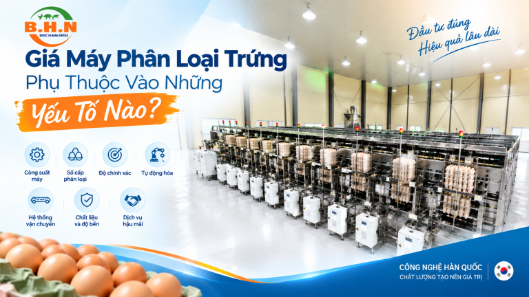 Giá Máy Phân Loại Trứng Phụ Thuộc Vào Những Yếu Tố Nào?