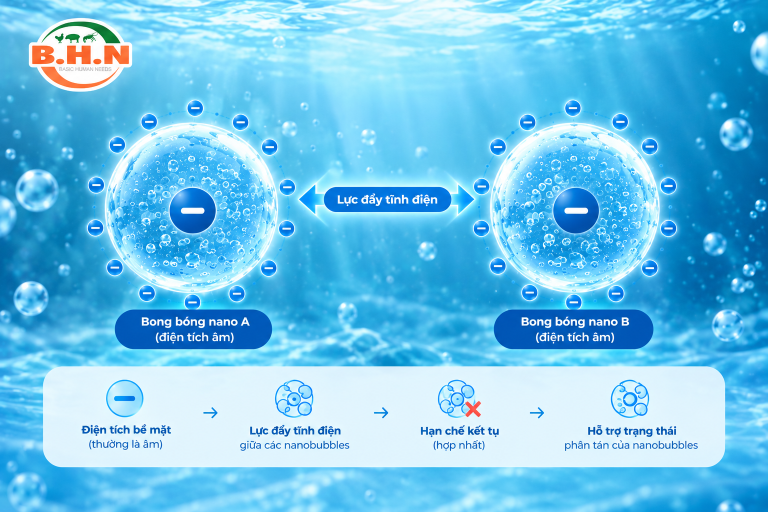 Nanobubbles Mang Điện Tích Bề Mặt Âm – Vì Sao Điều Này Quan Trọng?