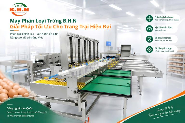 Nên Mua Máy Phân Loại Trứng Mới Hay Cũ? So Sánh Chi Phí