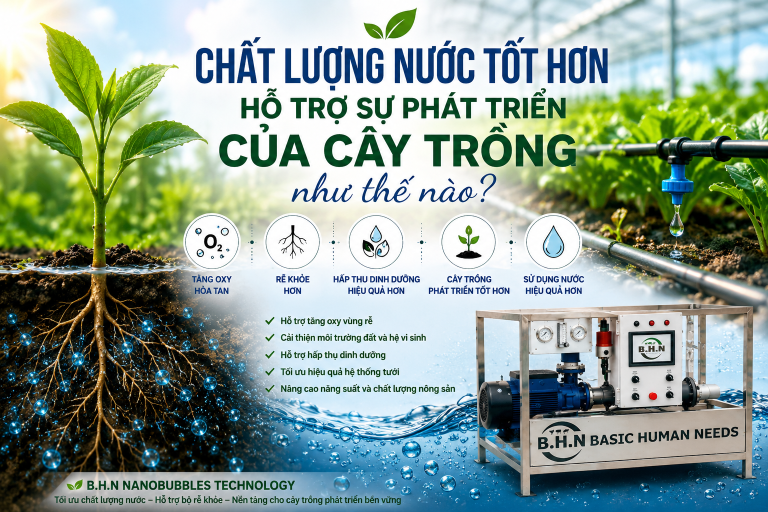 Chất lượng nước tốt hơn hỗ trợ sự phát triển của cây trồng như thế nào?