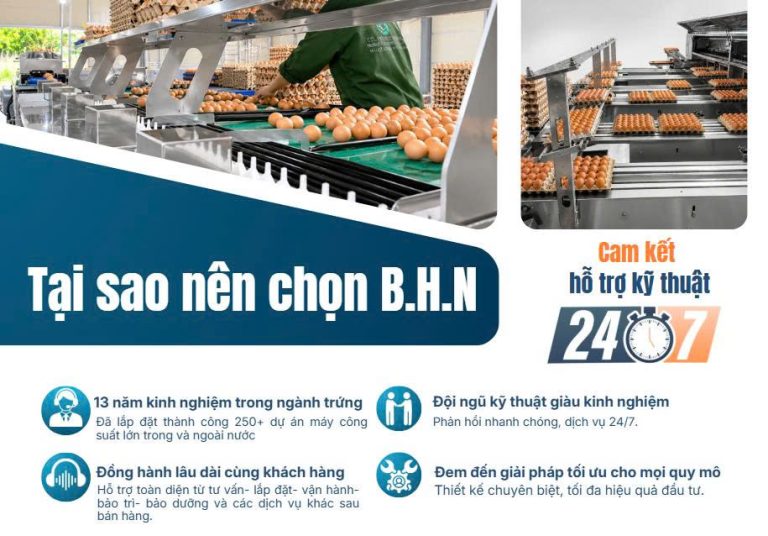 Khi Nào Nên Đầu Tư Máy Phân Loại Trứng?